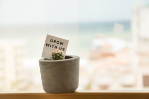 Small plants with grow with us message